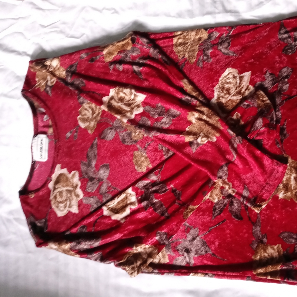 Vlvet Vintage Top